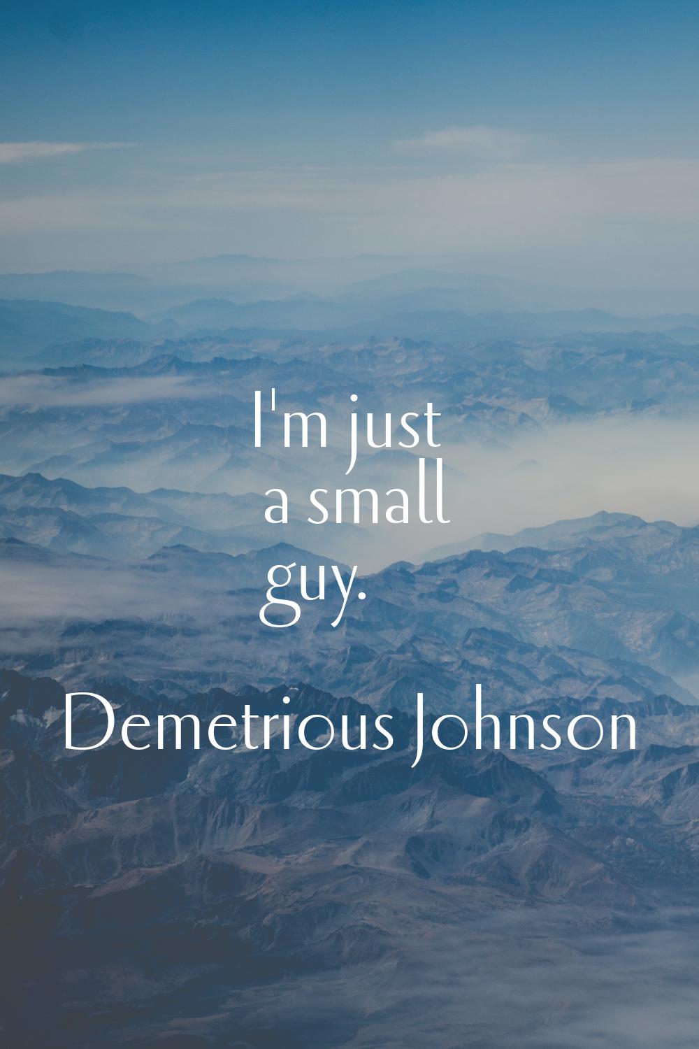 I'm just a small guy.
