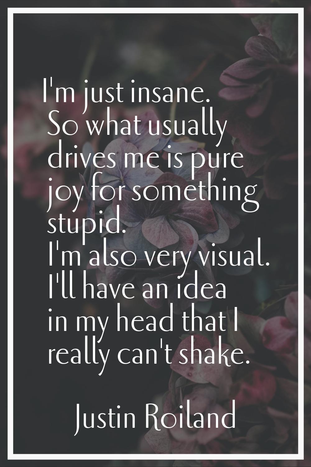 I'm just insane. So what usually drives me is pure joy for something stupid. I'm also very visual. 
