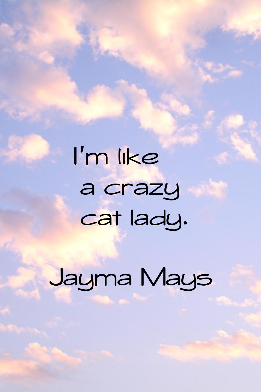I'm like a crazy cat lady.