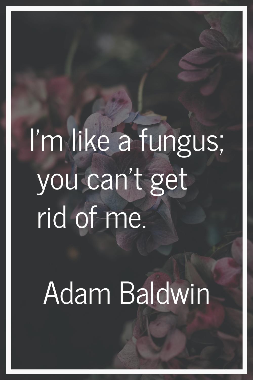 I'm like a fungus; you can't get rid of me.