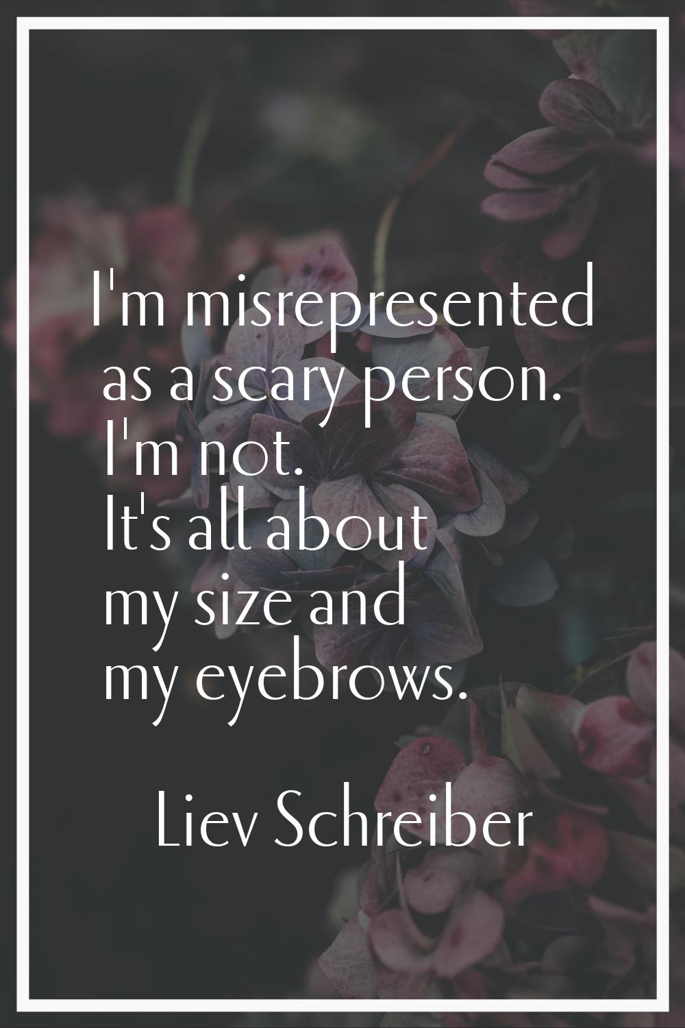 I'm misrepresented as a scary person. I'm not. It's all about my size and my eyebrows.