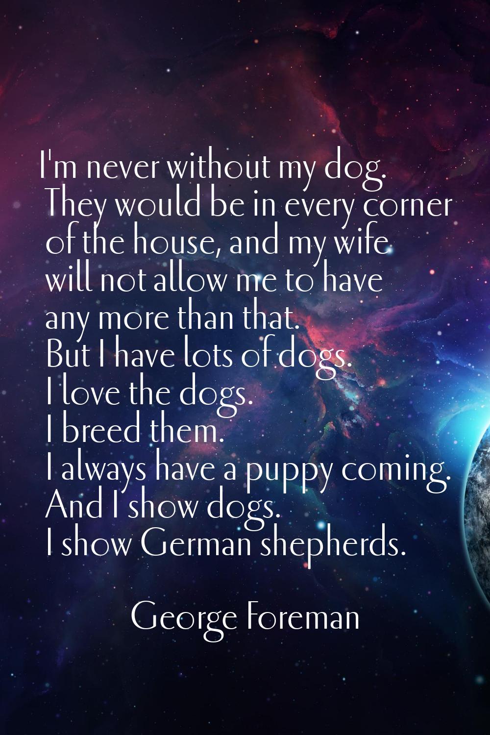 I'm never without my dog. They would be in every corner of the house, and my wife will not allow me