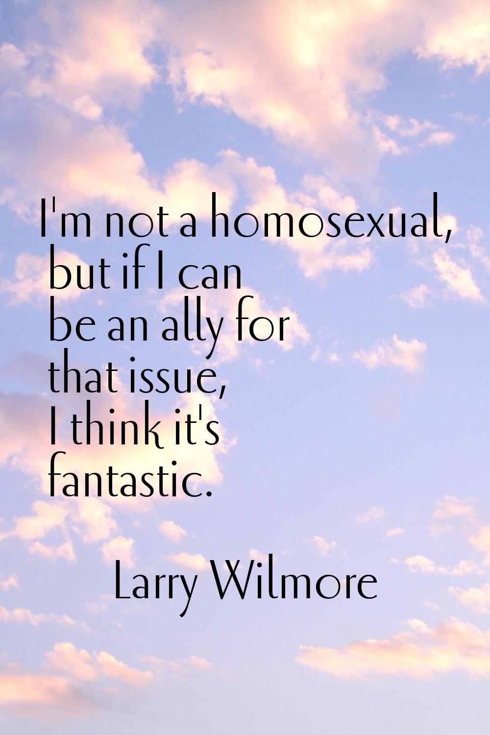 I'm not a homosexual, but if I can be an ally for that issue, I think it's fantastic.