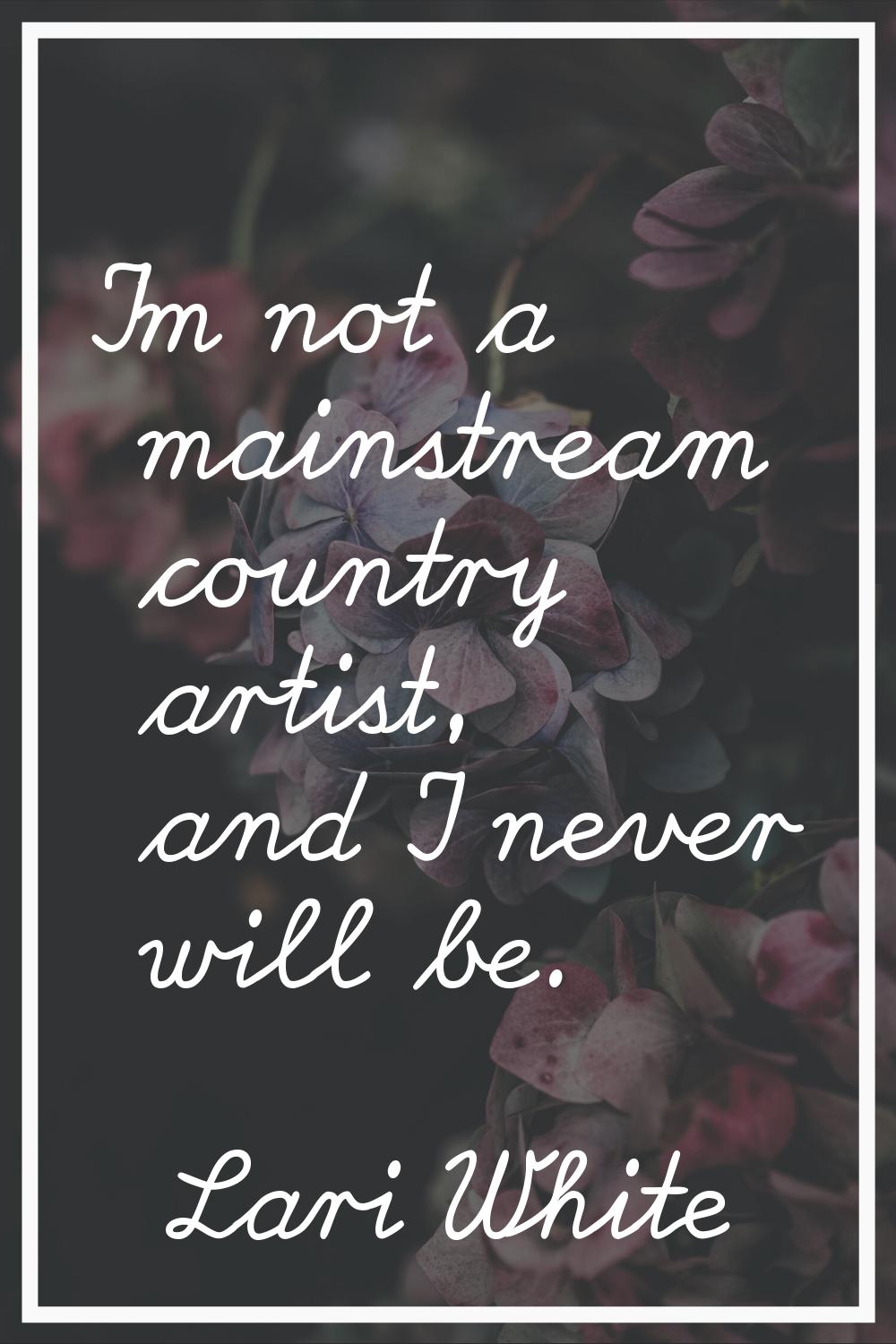 I'm not a mainstream country artist, and I never will be.