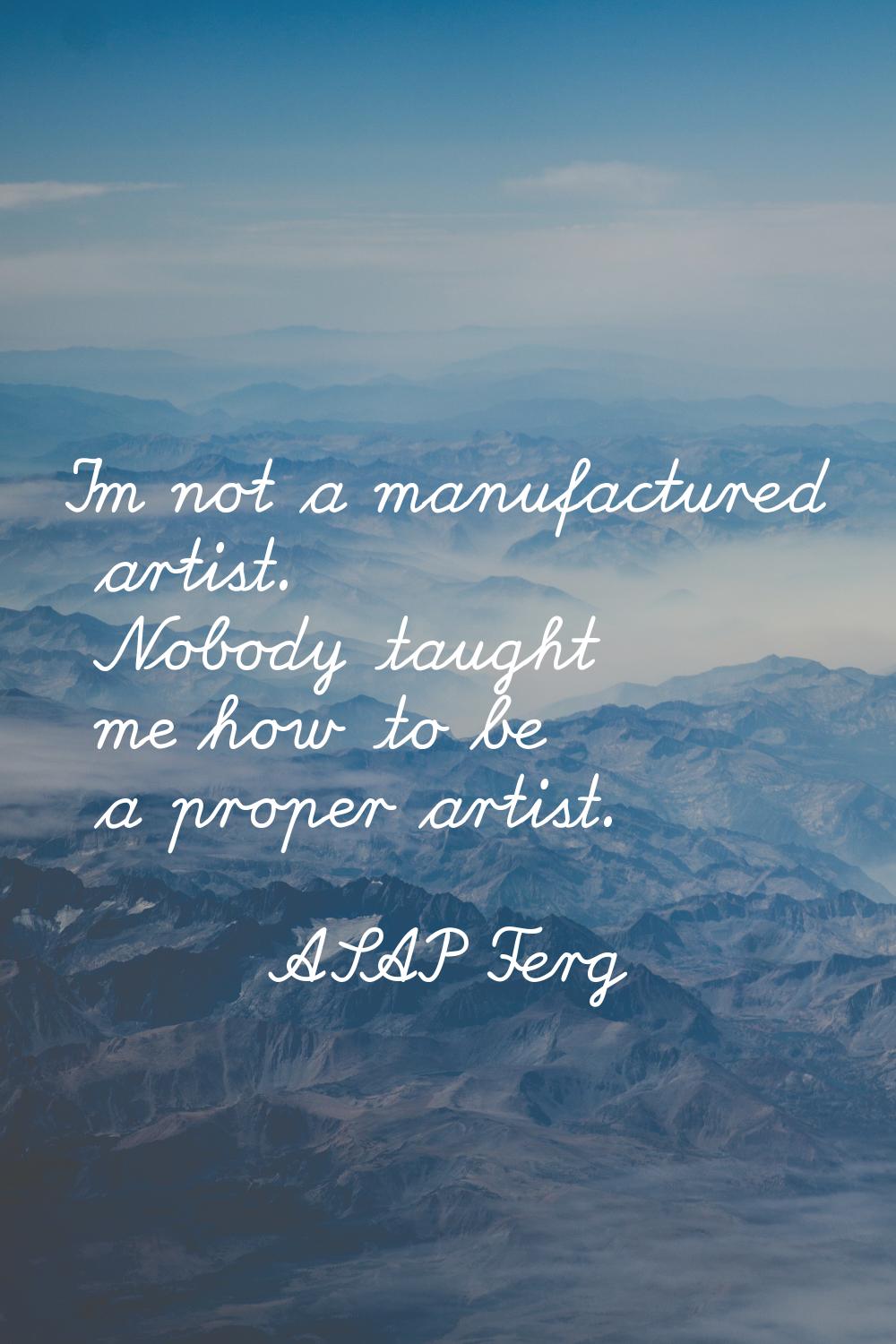 I'm not a manufactured artist. Nobody taught me how to be a proper artist.