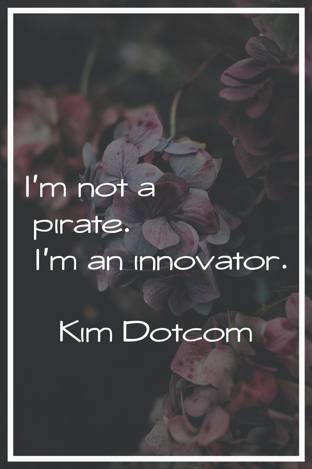I'm not a pirate. I'm an innovator.
