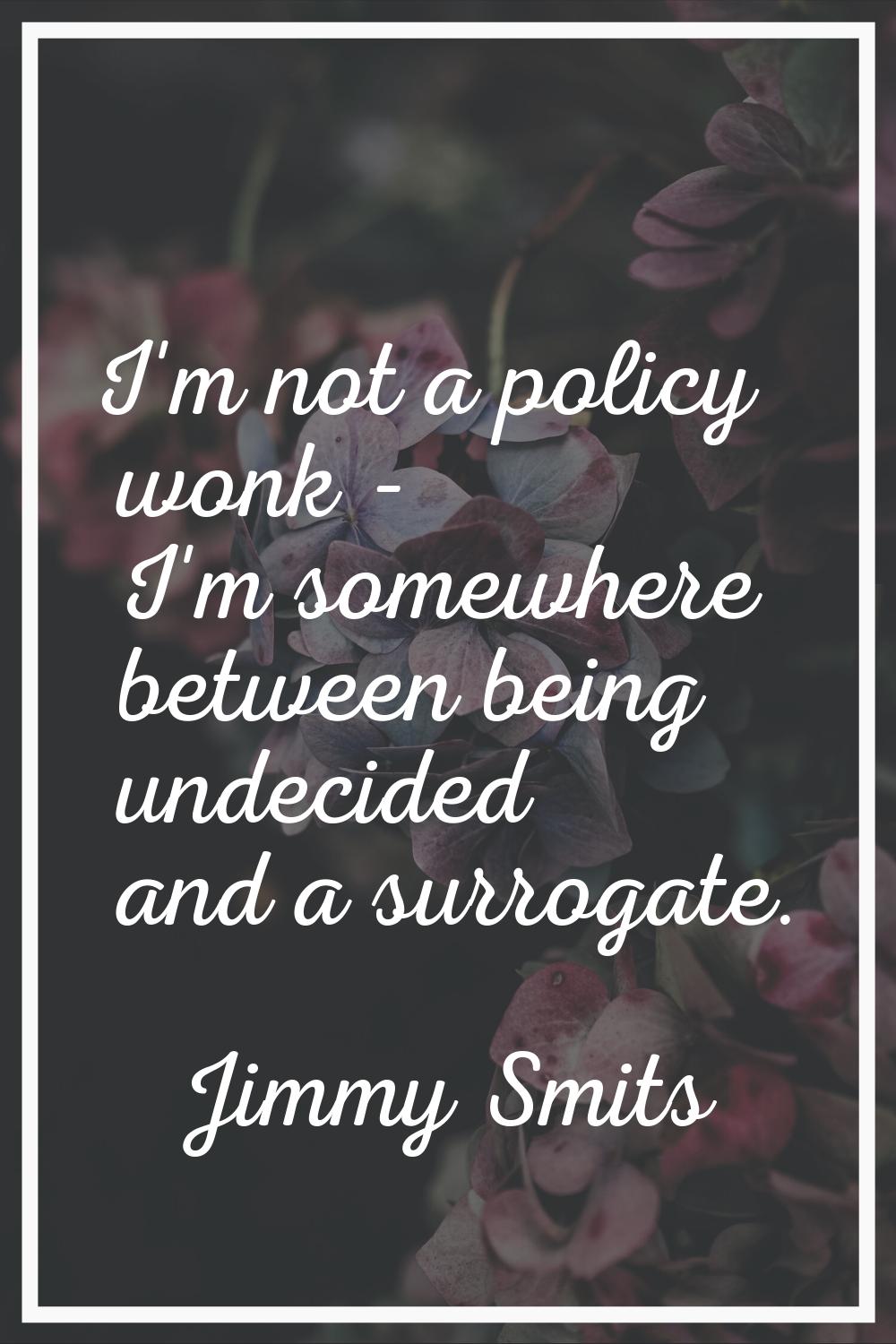 I'm not a policy wonk - I'm somewhere between being undecided and a surrogate.