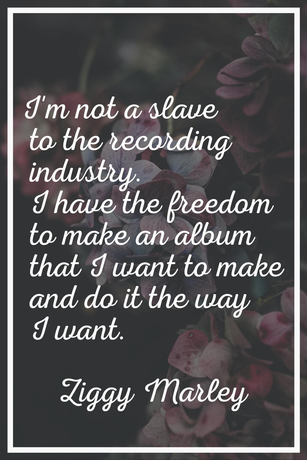 I'm not a slave to the recording industry. I have the freedom to make an album that I want to make 