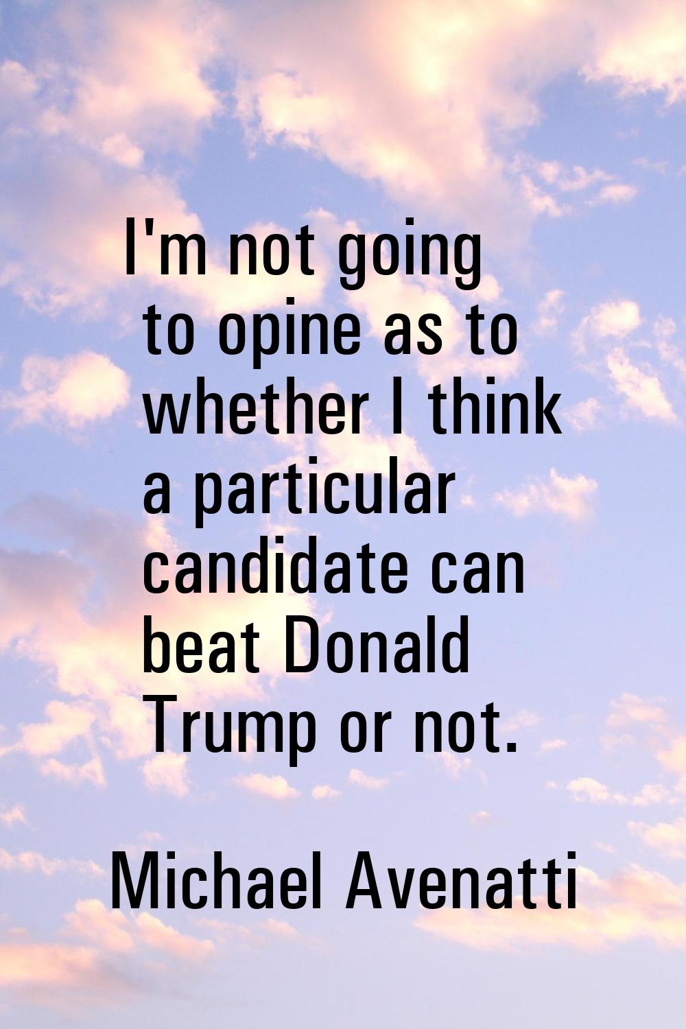 I'm not going to opine as to whether I think a particular candidate can beat Donald Trump or not.