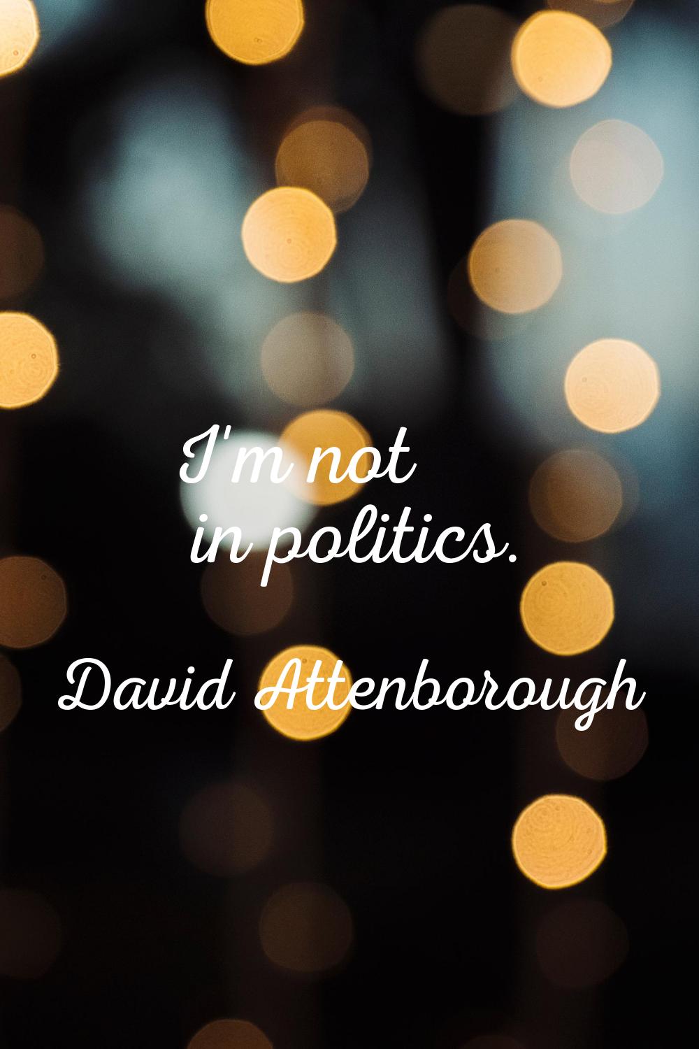 I'm not in politics.