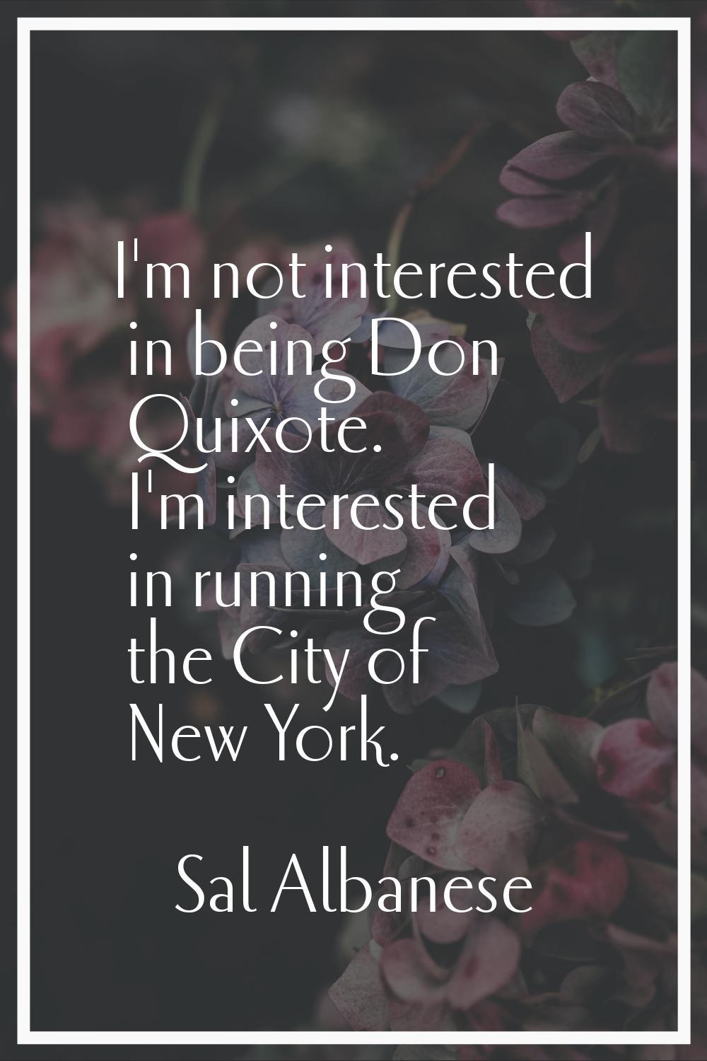 I'm not interested in being Don Quixote. I'm interested in running the City of New York.