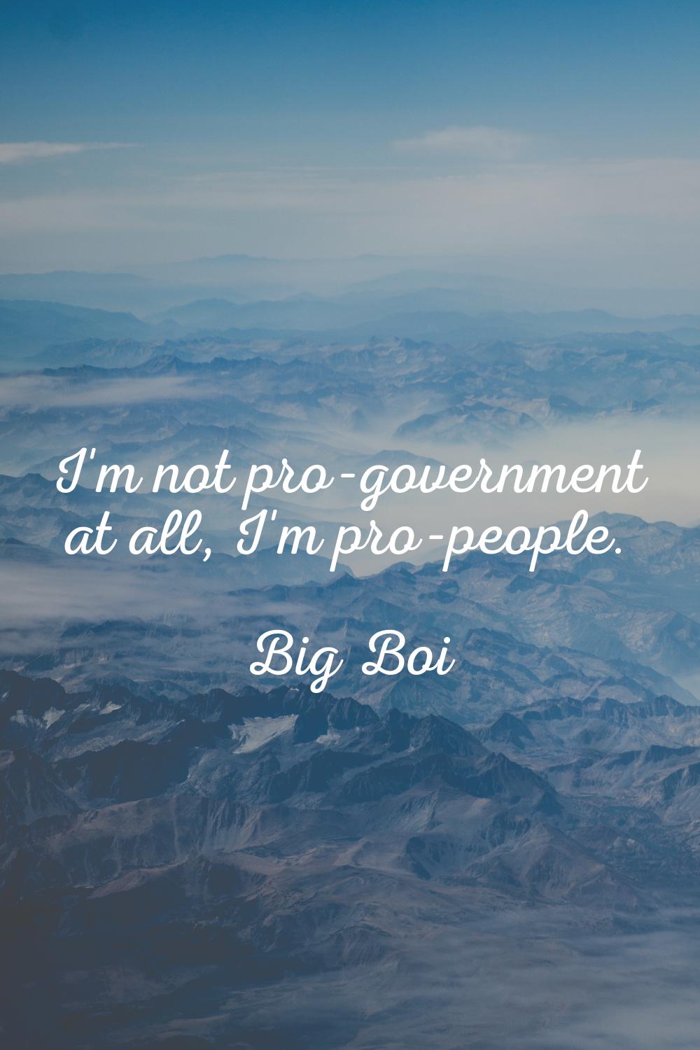 I'm not pro-government at all, I'm pro-people.