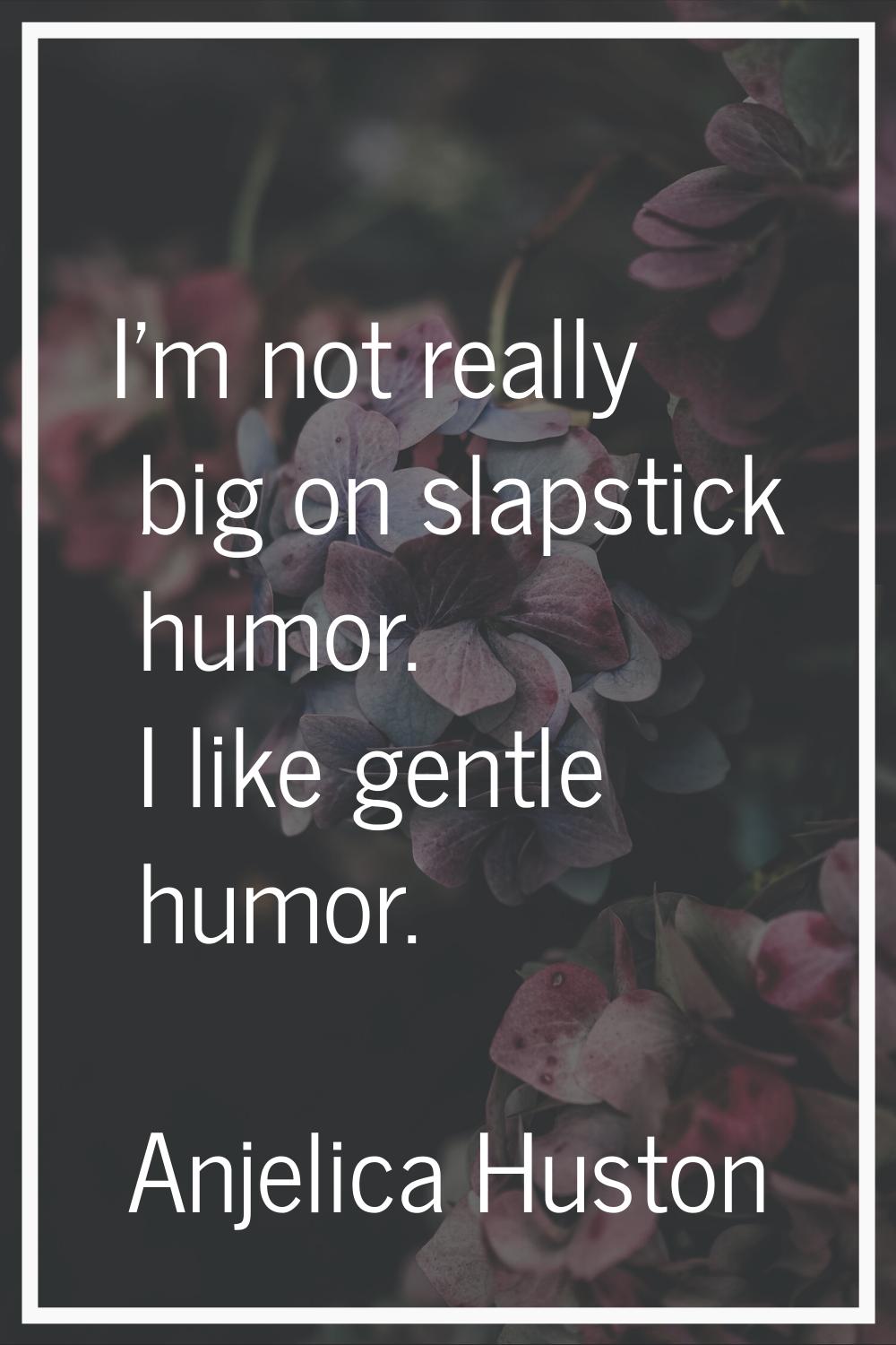 I'm not really big on slapstick humor. I like gentle humor.