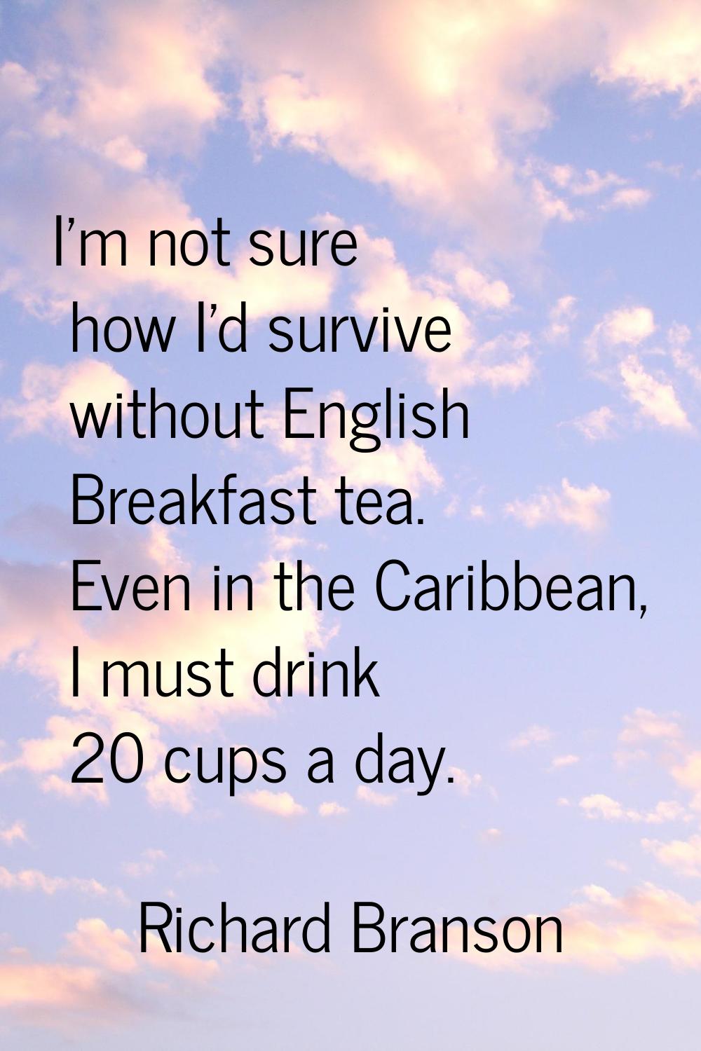 I'm not sure how I'd survive without English Breakfast tea. Even in the Caribbean, I must drink 20 