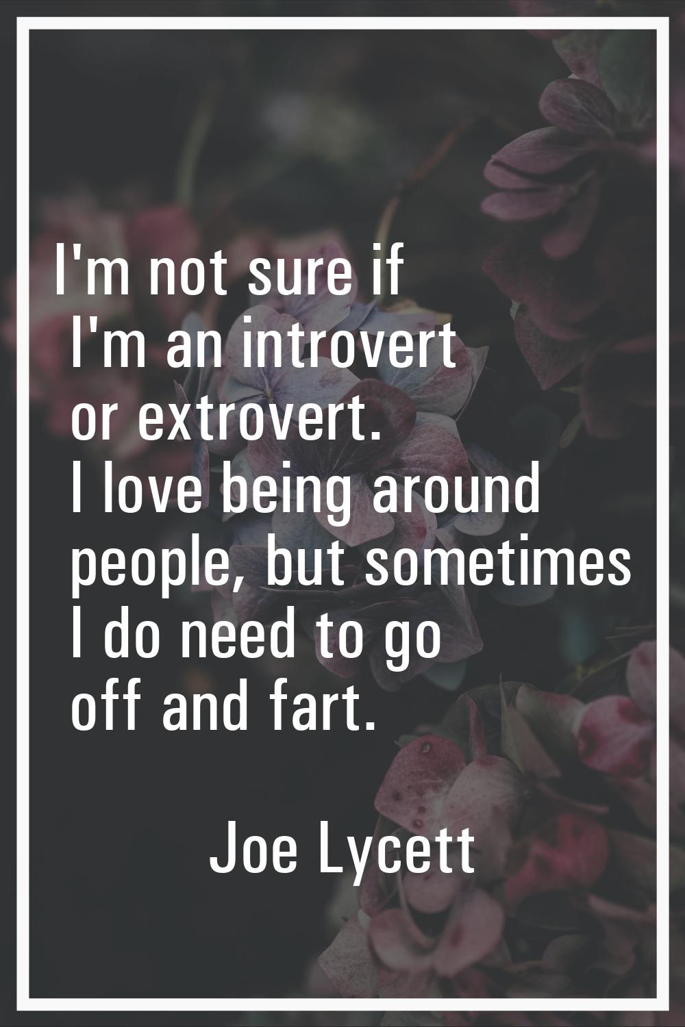 I'm not sure if I'm an introvert or extrovert. I love being around people, but sometimes I do need 
