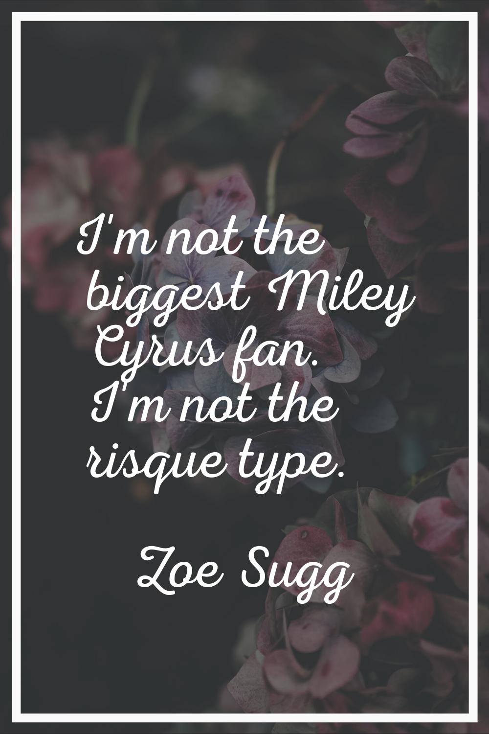 I'm not the biggest Miley Cyrus fan. I'm not the risque type.
