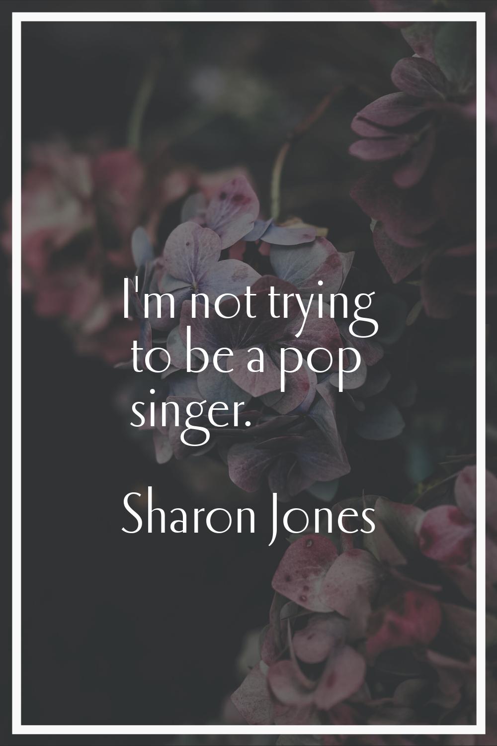 I'm not trying to be a pop singer.