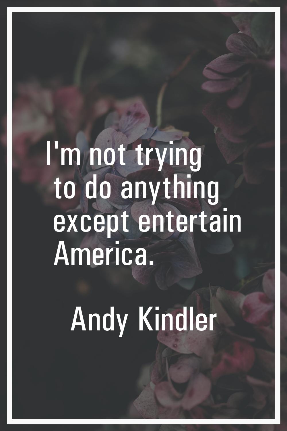 I'm not trying to do anything except entertain America.