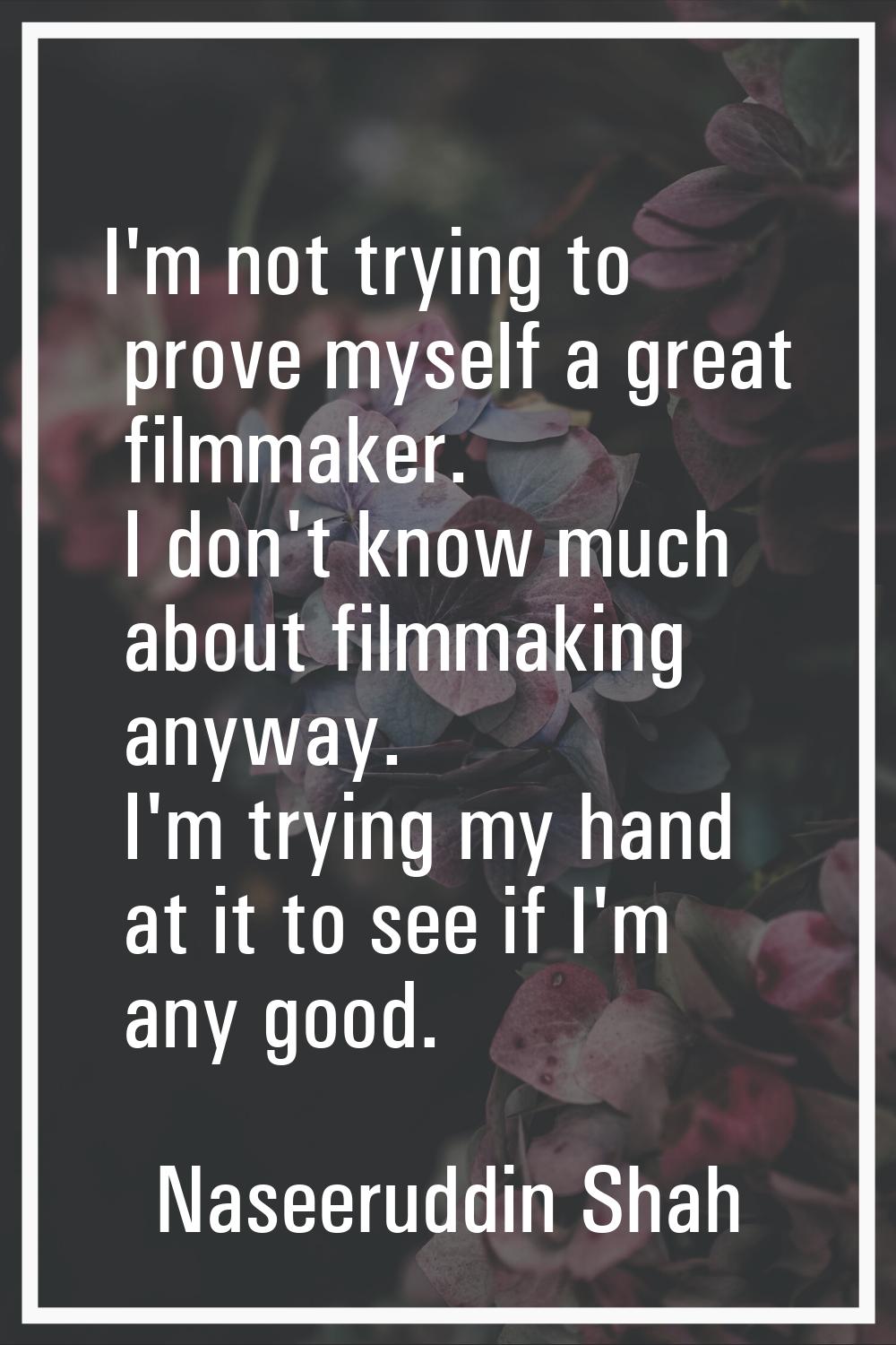 I'm not trying to prove myself a great filmmaker. I don't know much about filmmaking anyway. I'm tr