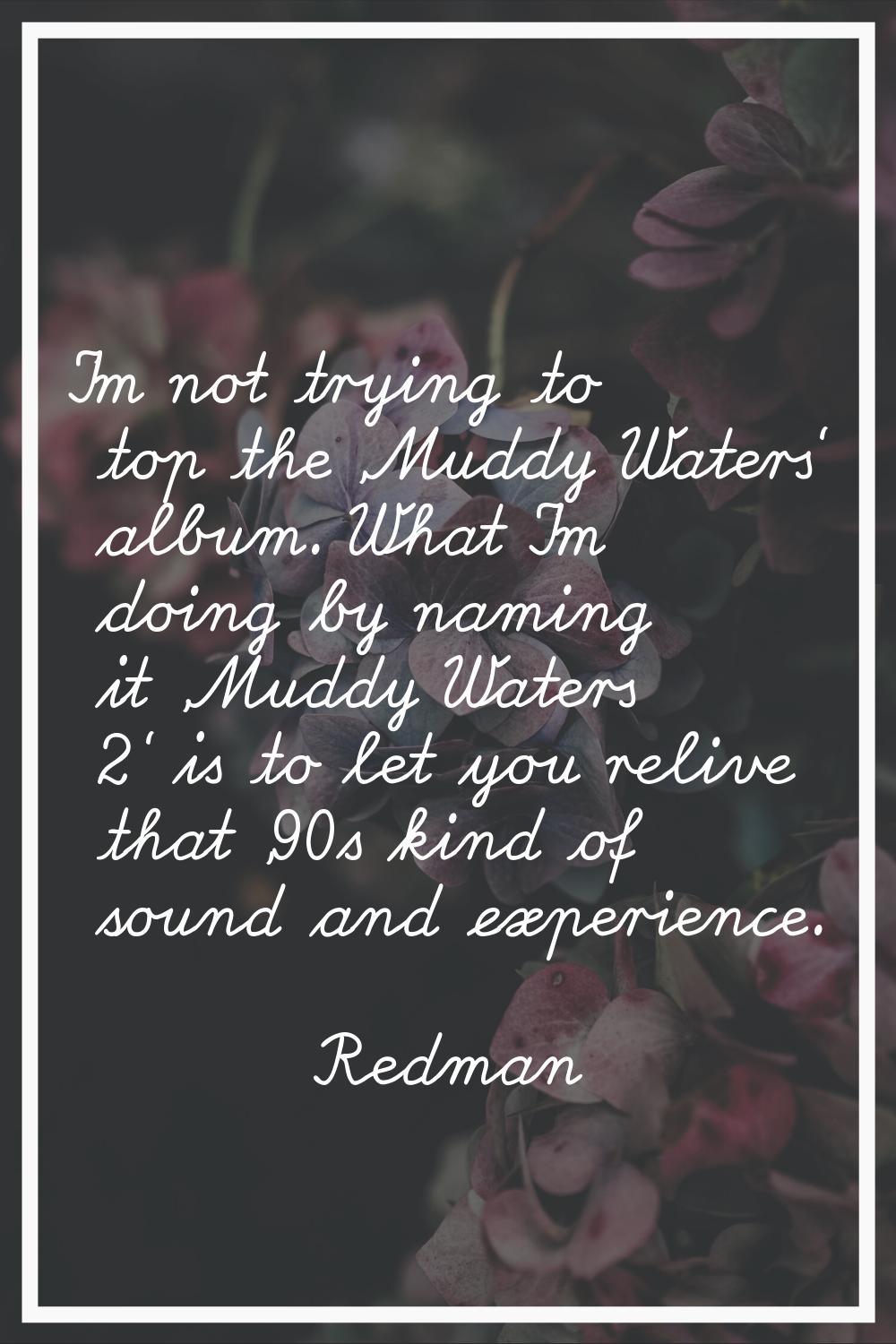 I'm not trying to top the 'Muddy Waters' album. What I'm doing by naming it 'Muddy Waters 2' is to 