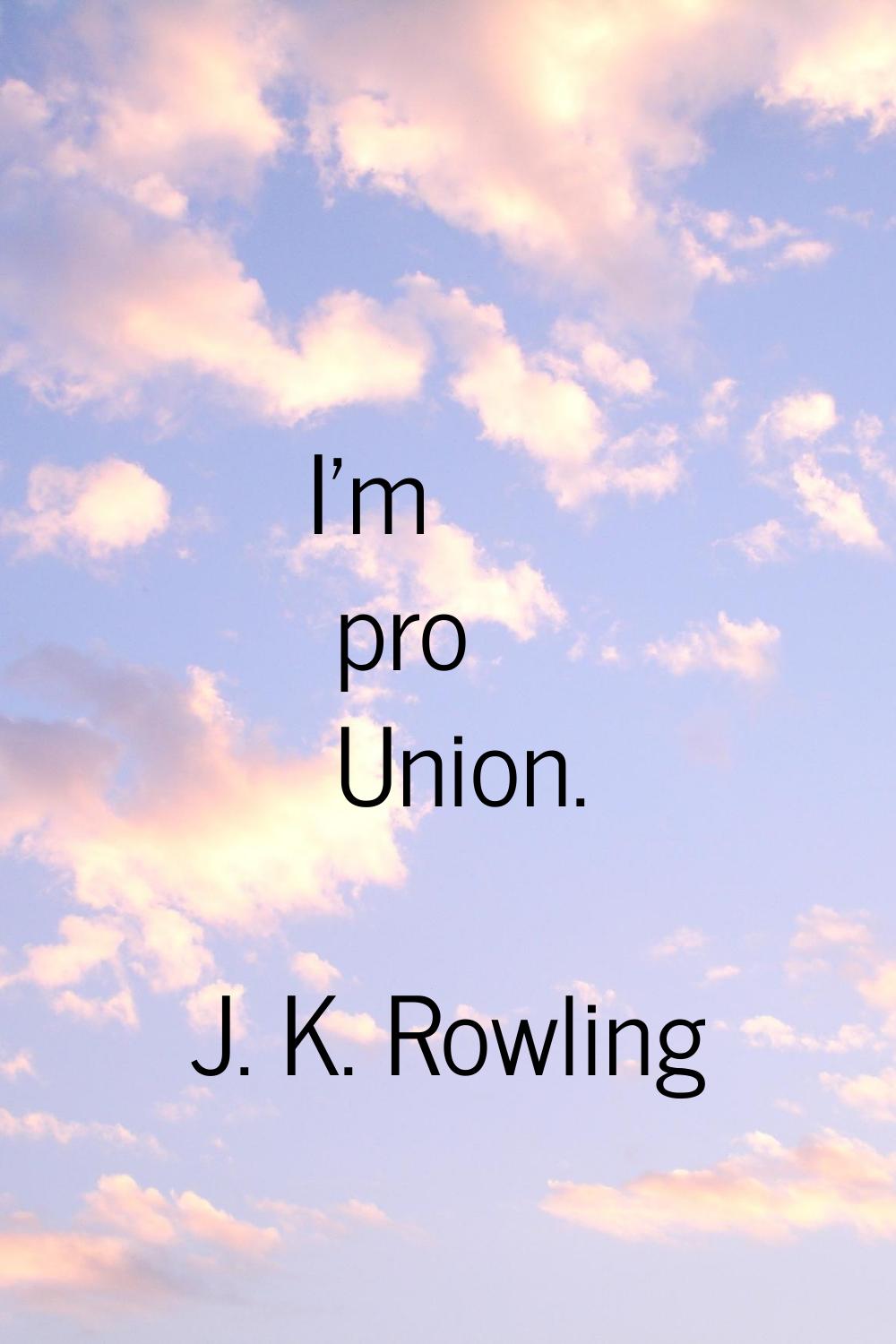 I'm pro Union.