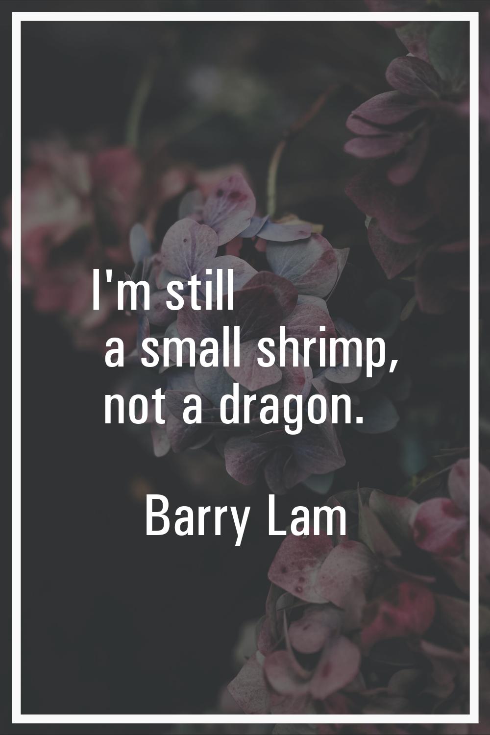 I'm still a small shrimp, not a dragon.