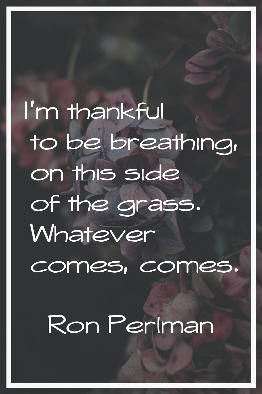 I'm thankful to be breathing, on this side of the grass. Whatever comes, comes.