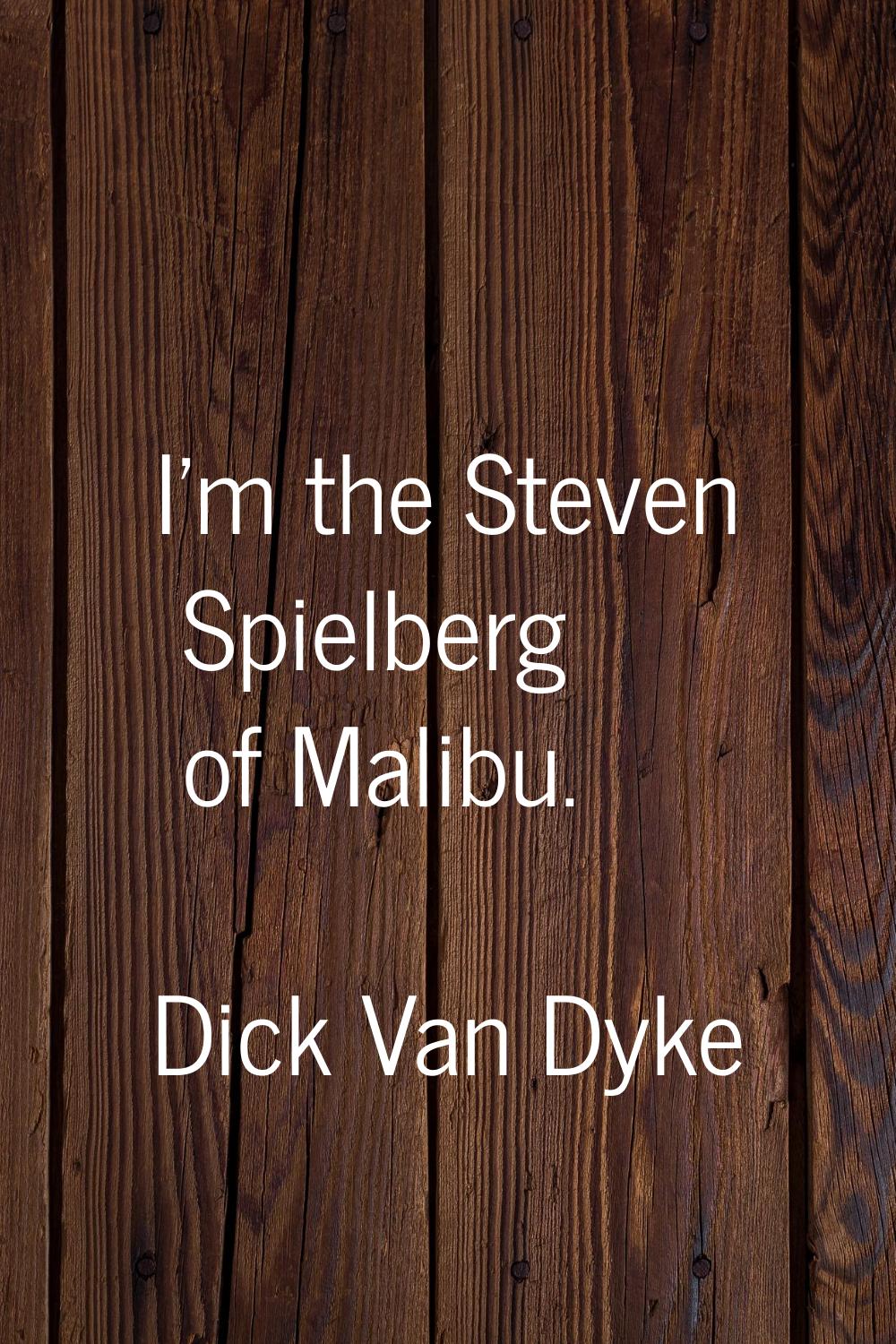 I'm the Steven Spielberg of Malibu.