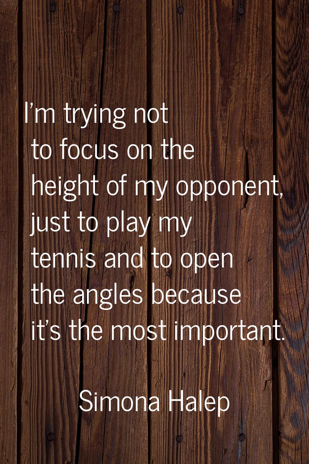 I'm trying not to focus on the height of my opponent, just to play my tennis and to open the angles