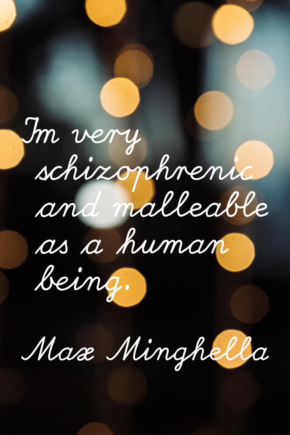 I'm very schizophrenic and malleable as a human being.