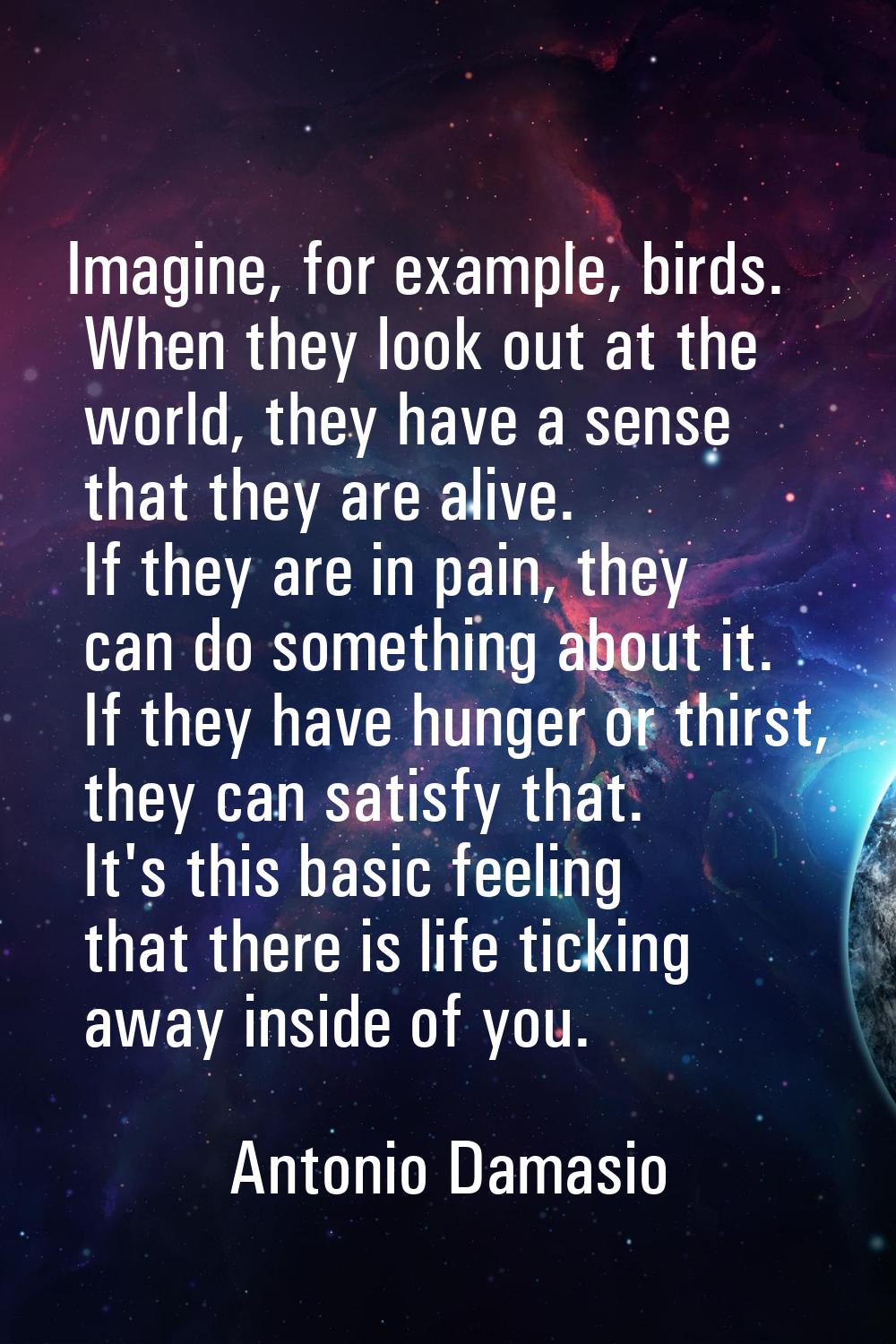 Imagine, for example, birds. When they look out at the world, they have a sense that they are alive
