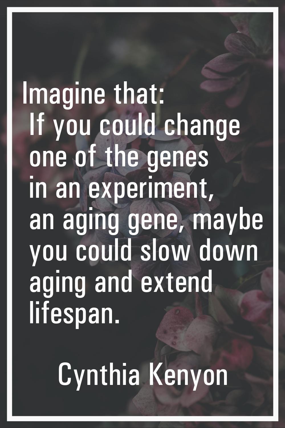 Imagine that: If you could change one of the genes in an experiment, an aging gene, maybe you could