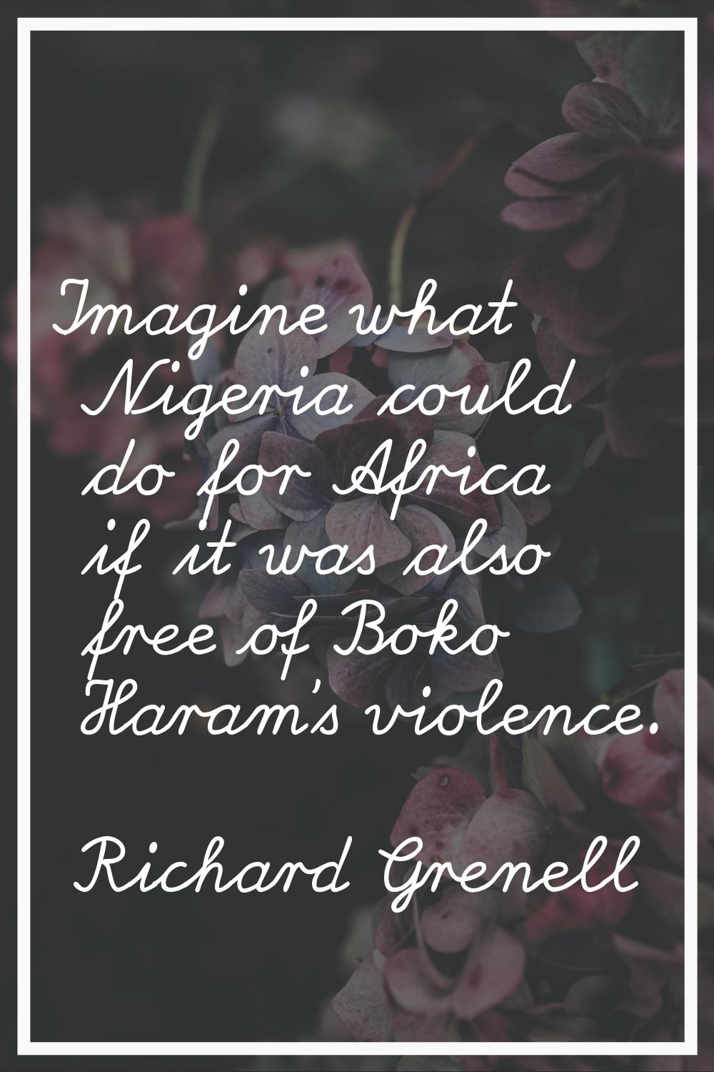 Imagine what Nigeria could do for Africa if it was also free of Boko Haram's violence.