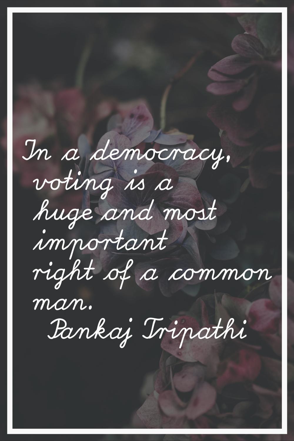 In a democracy, voting is a huge and most important right of a common man.