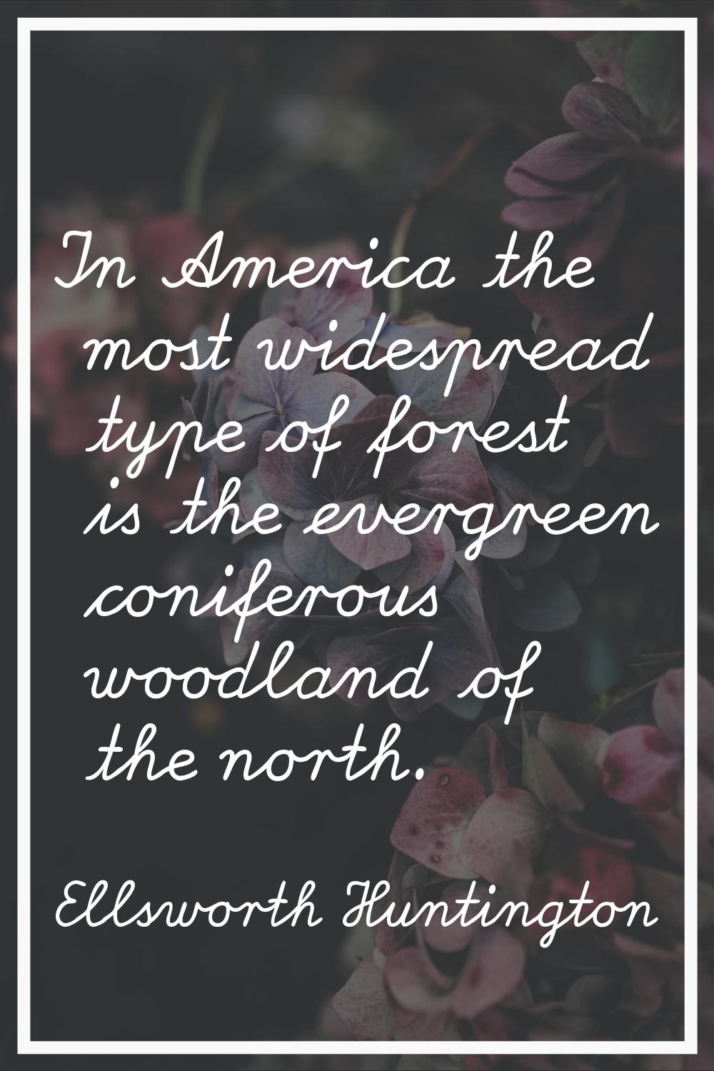 In America the most widespread type of forest is the evergreen coniferous woodland of the north.