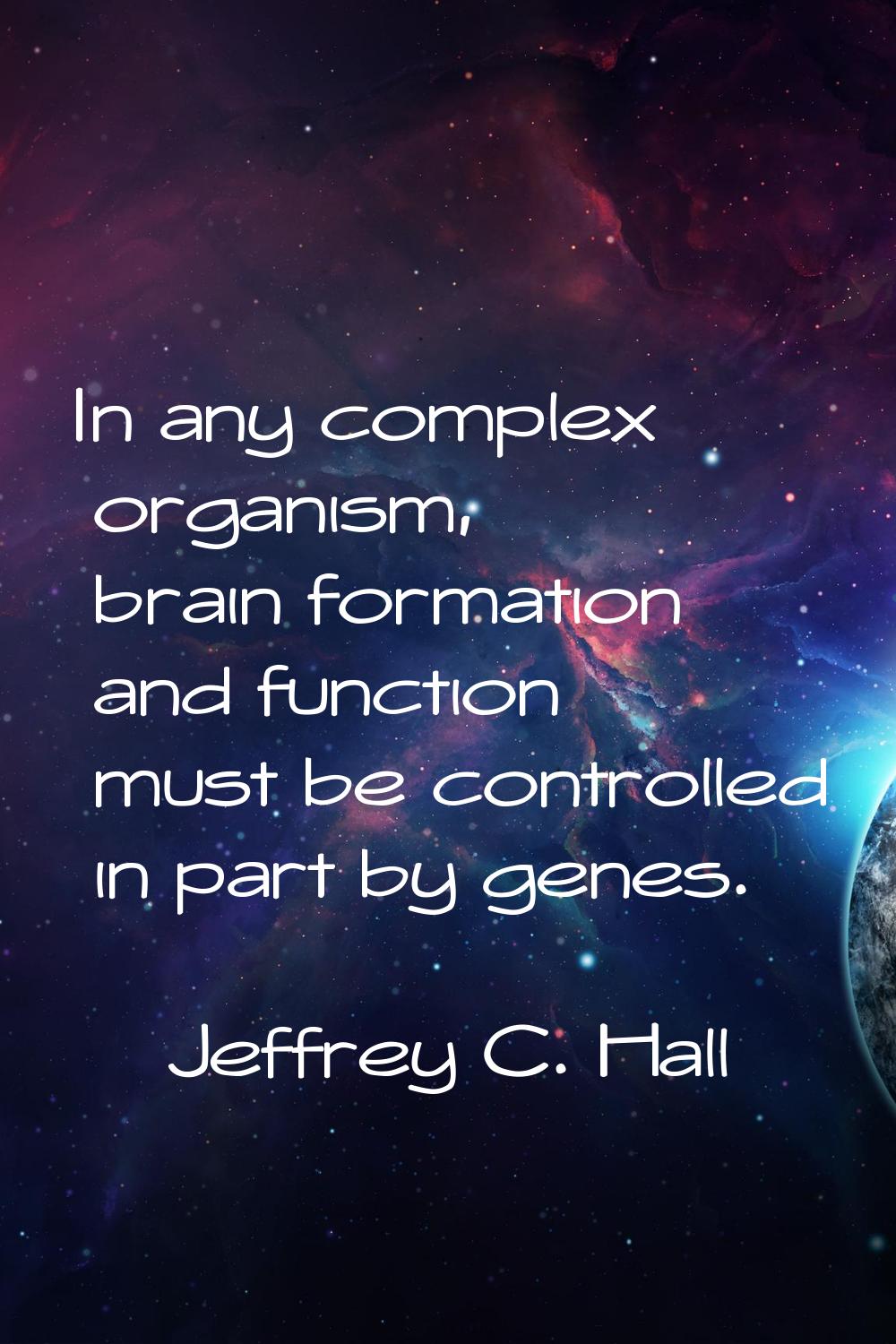 In any complex organism, brain formation and function must be controlled in part by genes.