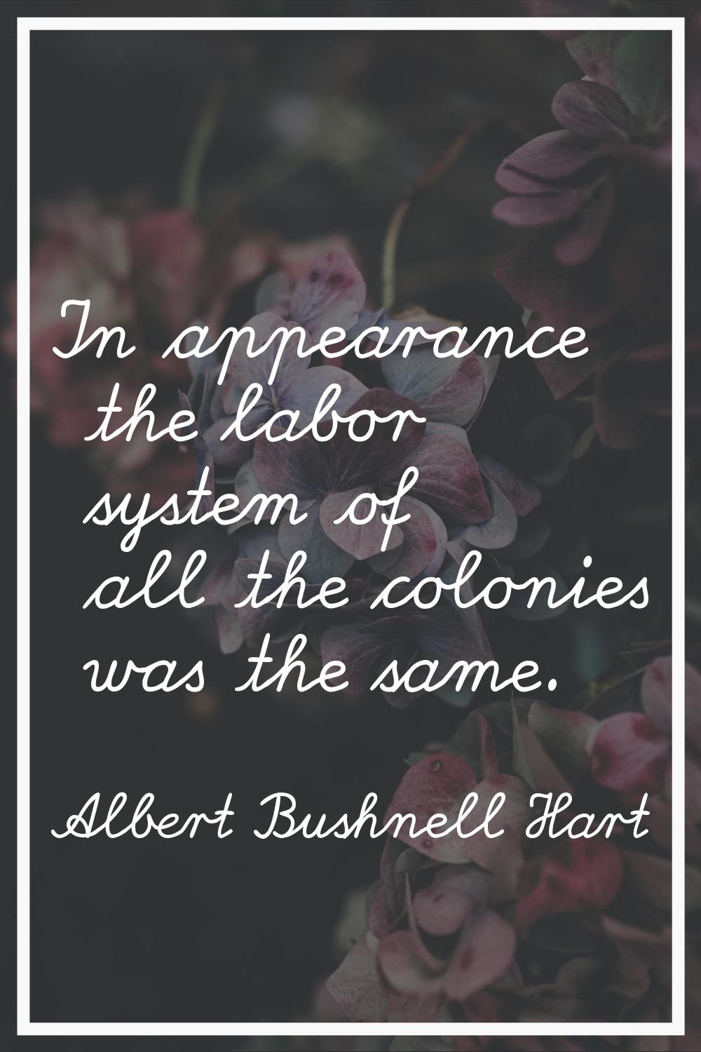 In appearance the labor system of all the colonies was the same.