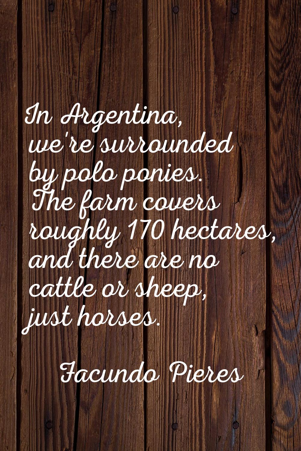 In Argentina, we're surrounded by polo ponies. The farm covers roughly 170 hectares, and there are 