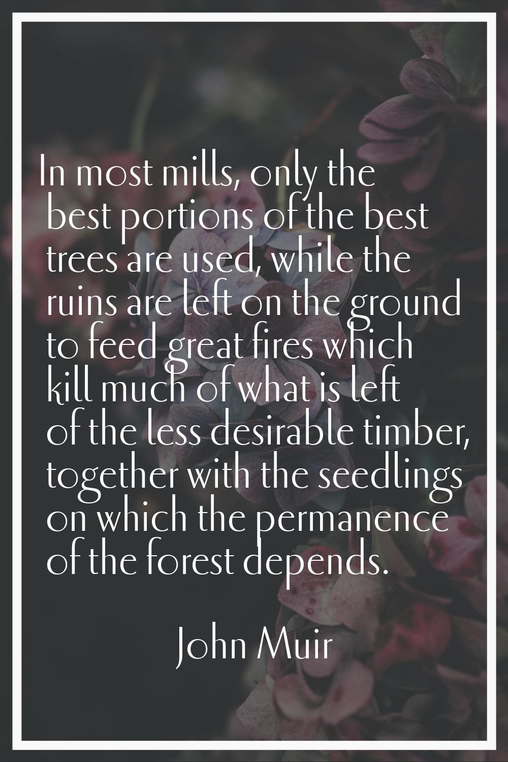 In most mills, only the best portions of the best trees are used, while the ruins are left on the g