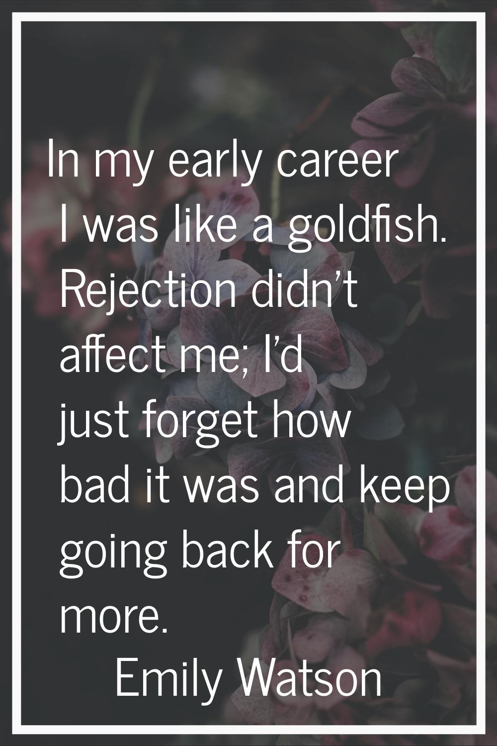 In my early career I was like a goldfish. Rejection didn't affect me; I'd just forget how bad it wa