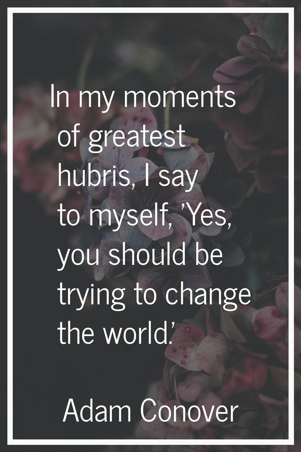 In my moments of greatest hubris, I say to myself, 'Yes, you should be trying to change the world.'