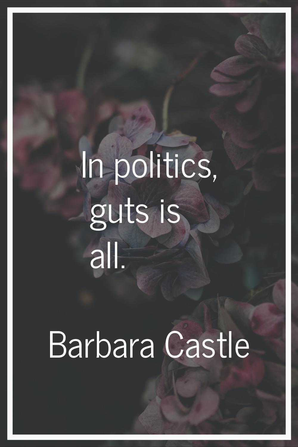 In politics, guts is all.