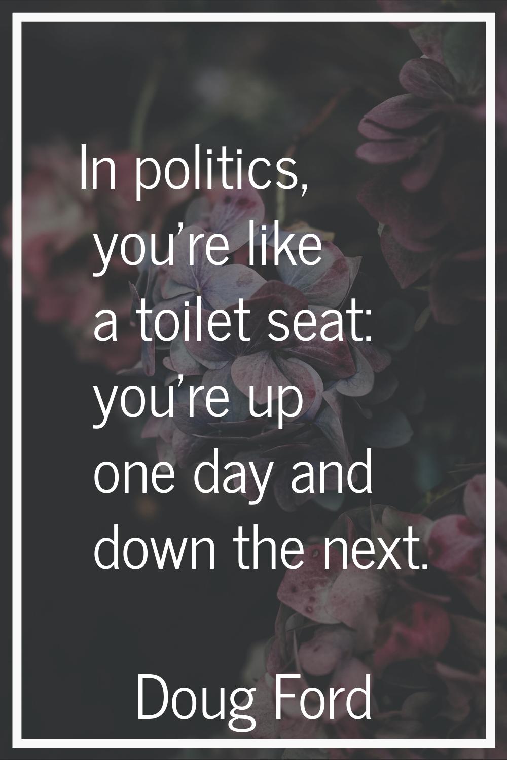In politics, you're like a toilet seat: you're up one day and down the next.