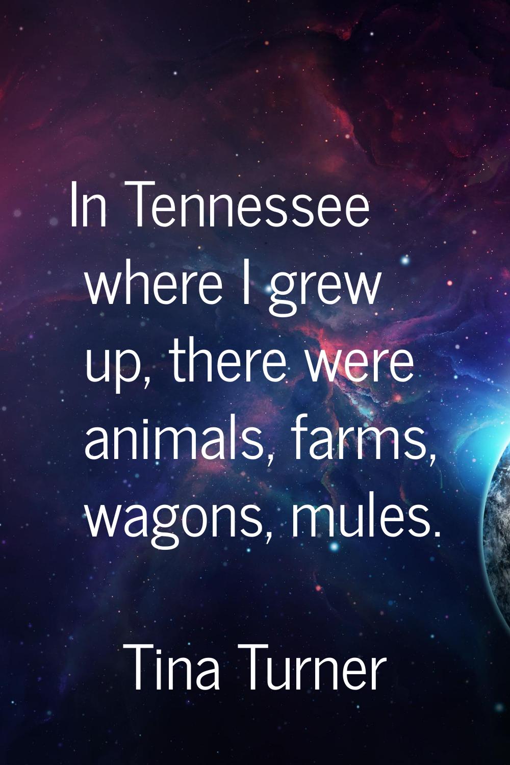 In Tennessee where I grew up, there were animals, farms, wagons, mules.