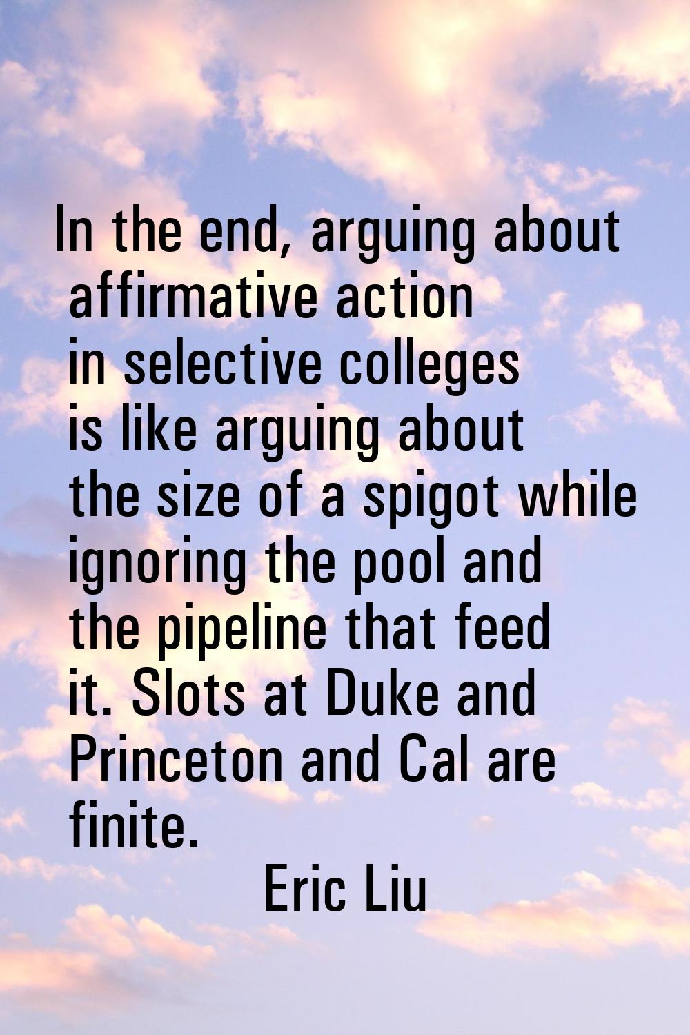 In the end, arguing about affirmative action in selective colleges is like arguing about the size o
