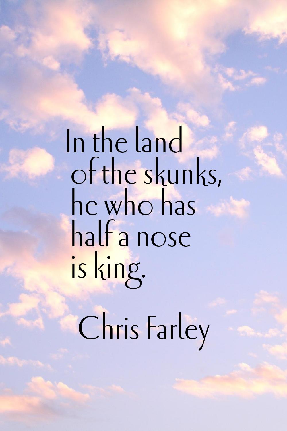 In the land of the skunks, he who has half a nose is king.