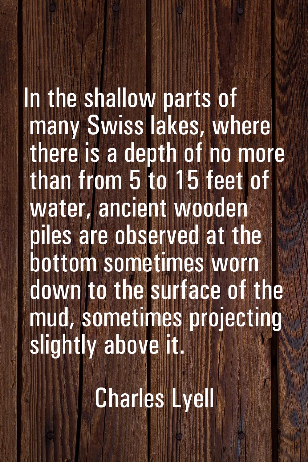 In the shallow parts of many Swiss lakes, where there is a depth of no more than from 5 to 15 feet 
