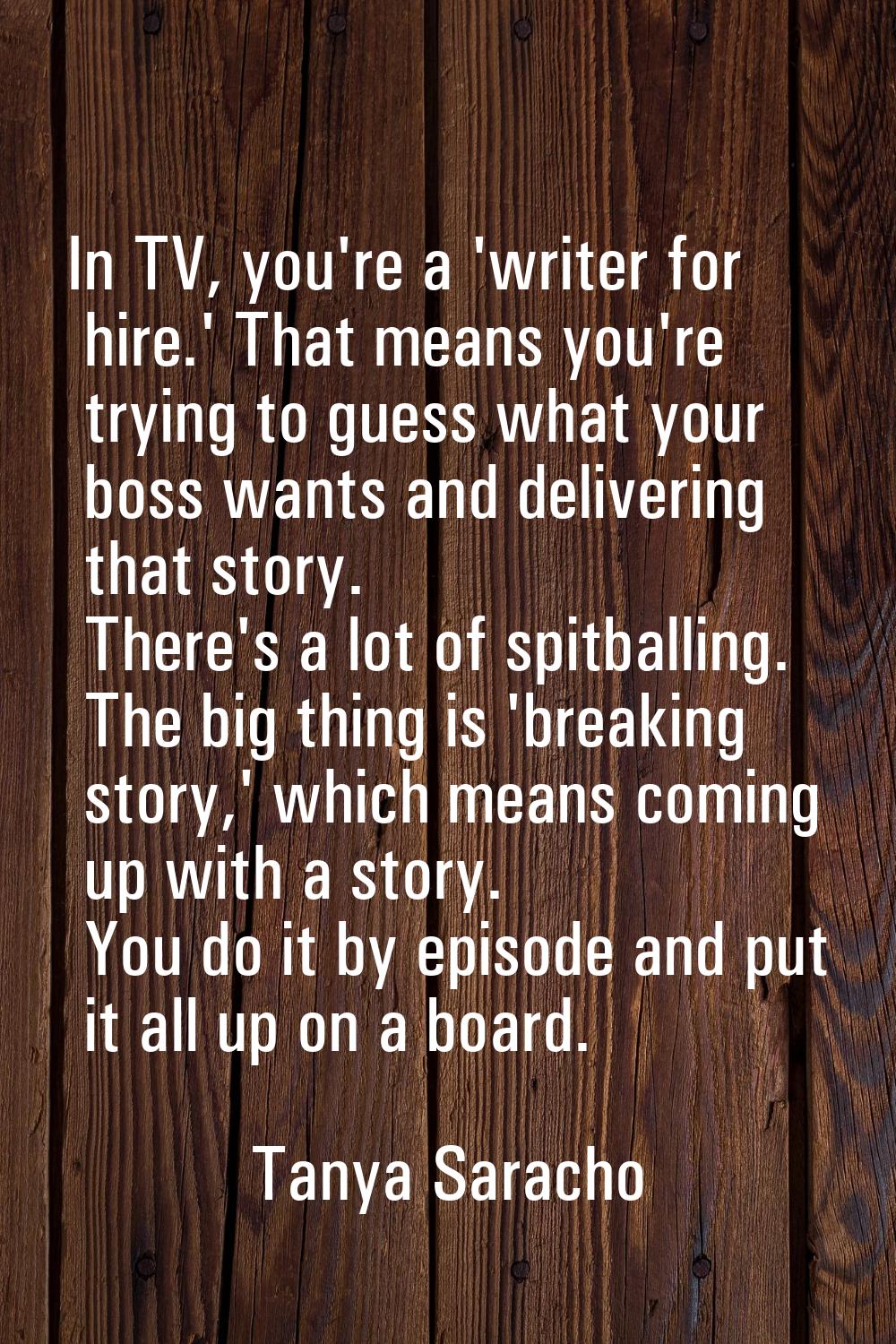 In TV, you're a 'writer for hire.' That means you're trying to guess what your boss wants and deliv