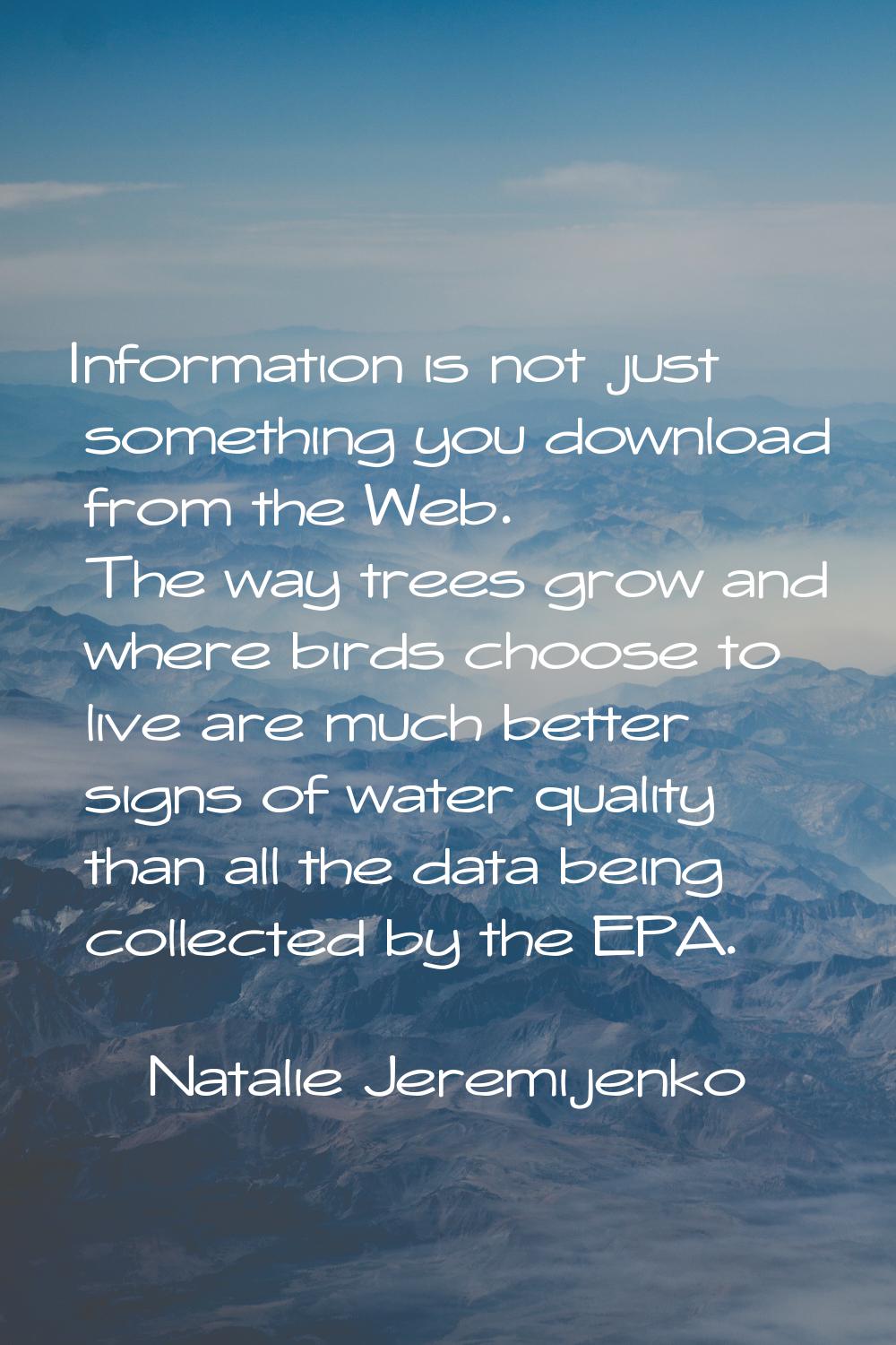 Information is not just something you download from the Web. The way trees grow and where birds cho