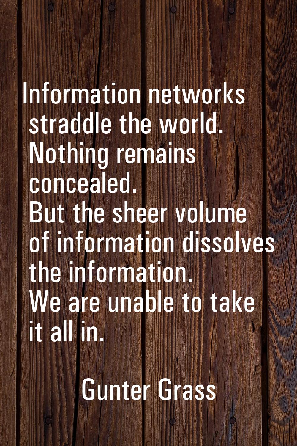 Information networks straddle the world. Nothing remains concealed. But the sheer volume of informa